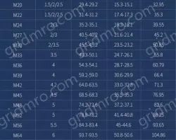 M10 20 capsules 304 stainless steel nut anti-lock
