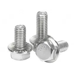 Hexagonal flange screws